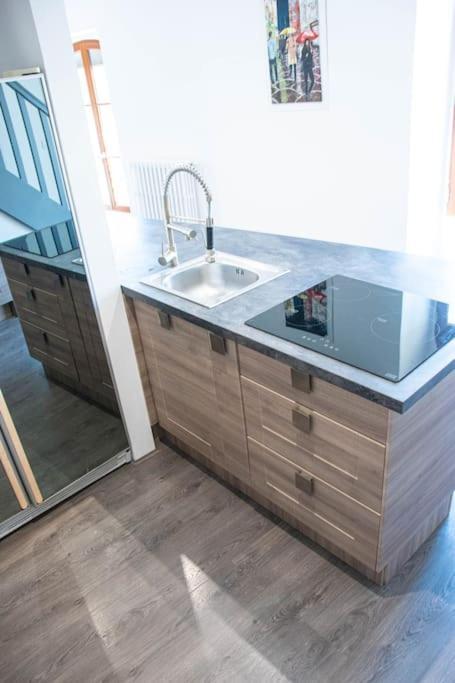 Angers Centre- Gare - Chateau - Duplex 2 Chambres Bagian luar foto
