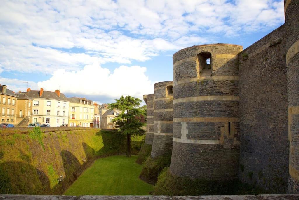 Angers Centre- Gare - Chateau - Duplex 2 Chambres Bagian luar foto
