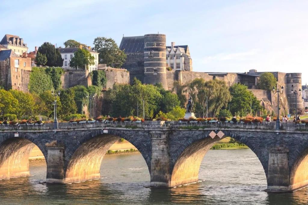 Angers Centre- Gare - Chateau - Duplex 2 Chambres Bagian luar foto